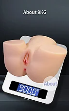 ���� ���� �������� Liora ����� ���� �� ���� �������� �������, 9 ��� - ���� �� �-9 �"�