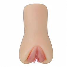 ������ ����, ���� ���� ����. BM-009235N