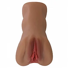 ������ �����, ���� ���� ����. BM-009237N-1