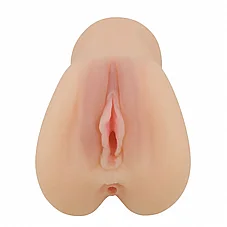 ������ �����, ���� ���� ����� ����. BM-009237N