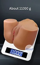 ���� ���� �������� ���� Wendy ����� ����, ���, ������ ��������� ���, 11 ��� - ���� �� �-11 �"�