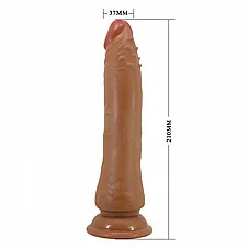 ����� ���� 21 �"�  BW-007006GC-1