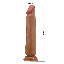 ����� ���� 25 �"�  BW-007018GC-1