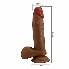���� ����, ������ �����. 21 �"�  BW-008017EA