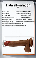 ���� ����, ������ �����. 21 �"�  BW-008017EA