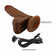 ���� ����, ������ �����. 21 �"�  BW-008017EA