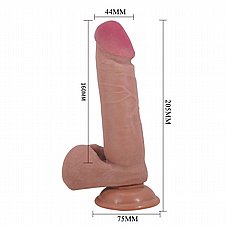 ����� ����, ����, ���� �� ��� �����. 20 �"�  BW-008017LP-1