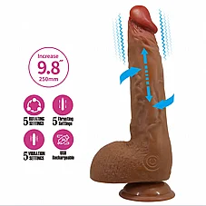 ����� ���� ����, ������ �����. 25 �"�  BW-008041EA