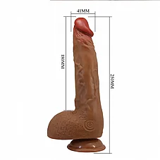 ����� ���� ����, ������ �����. 25 �"�  BW-008041EA