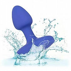 ������ ����� ���, ����, ���� �������� ����� ����� ��� ��� �� ����� �����.  CalExotics-14657