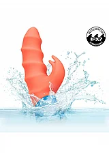 ������� ��� ���� �� ������ ����� �������� ���� ��������. CalExotics-27716