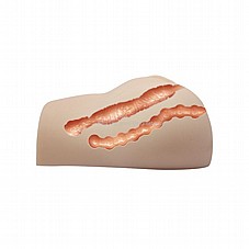 ���� ������ ���� 2 ����� ����� ��� ����� ����� ������� ������ ���� �����. DIGI-009131Z-1
