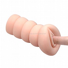 ���� ���� �� ���� ����� �����. ����� ���� ������ ���.  DIGI-009209K