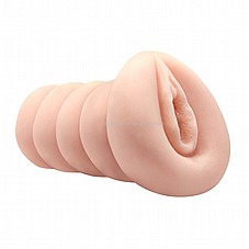 ���� ���� �� ���� ����� �����. ����� ���� ������ ���.  DIGI-009209K