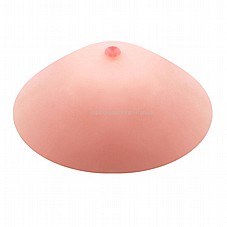 �� ��������� ���� 13 ������� ������ ����� ��� ����� DIGI-013004