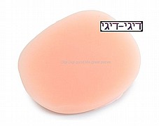 �� ��������� ���� 13 ������� ������ ����� ��� ����� DIGI-013004