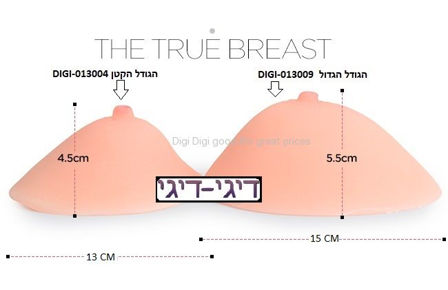 DIGI-013004_24122019194804.jpg (650&times;421)