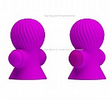 זוג מוצצי פטמות רוטטים ונטענים USB rechargeable Vibrating Nipple Sucker DIGI-014545-1 זוג מוצצי פטמות רוטטים ונטענים USB rechargeable Vibrating Nipple Sucker DIGI-014545-1
