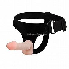 ������� �� 2 ����� ����� ������� ������ 10 ������� ����� ����  DIGI-022034
