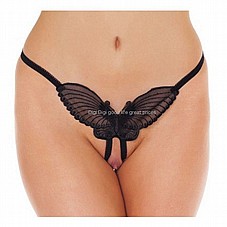 ����� ����� ���� ���� R-1352