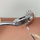 7290013229991 ������ ��� ����� �����. ���� ���� ������ ��� ������ ����� ��������� ����. DIGI-229991  