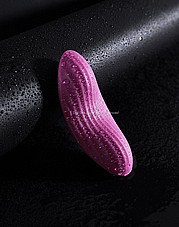 ���� ���� ������ - ����� ���� ���� ���������� ��� ���� �����.  DIGI-6588