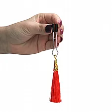 ����� ���� ��������  Bondage Fetish Nipple Clamps DIGI-761009   