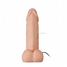 ������� �� ����� ������ ����.  19 �"�. DIGI-DIGI-022087ZR