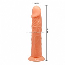 ����� ���� ���� ���� ��� ����� KBW-007013