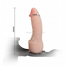 ���� ��� ����� ������ ����� ���� 17 ������� KBW-022019