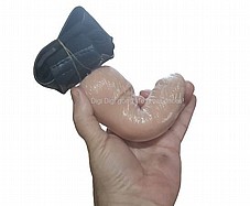 ���� ��� ����� ������ ����� ���� 17 ������� KBW-022019