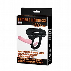 ������� �����  ���� ����   *����/� �����/�* ����� �����   KBW-022020