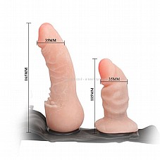 ������� �����  ���� ����   *����/� �����/�* ����� �����   KBW-022020