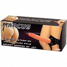 ���� ��� ����� ����� ������ �� ���� �� ���� ����� ������ KBW-022035