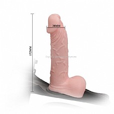 ������� �����  �����    17 �������  KBW-022037
