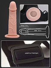 ���� ��� ���� ���� �� ������� ���� ����  15 �������  KBW-022048