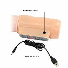 Heating Dragon ������� ���� ����� ���� �� ���� ��� ��� ������ ���� �����  KBW-037035