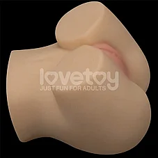 ����� ����� ������� �� ���� ���� - (��� ����) LV352301
