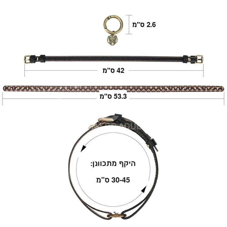 ���� ����� TwinBand �� ����� ���� - Rebellion Reign - ���� ��� ������� 30-45 ��� - ����� �����