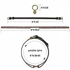���� ����� TwinBand �� ����� ���� - Rebellion Reign - ���� ��� ������� 30-45 ��� - ����� �����