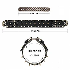 ���� ����� Vintage Spike �� ����� ������ D - Rebellion Reign - ���� ��� 37-48 ��� - ����� �����