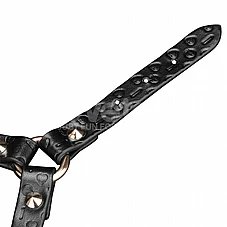���� BDSM ���� Rebel Bunny �� ����� �� ���� - Rebellion Reign - ���� ��� ���� ���� - ����� �� ����