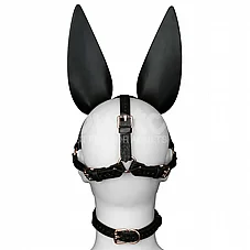 ���� BDSM ���� Dark Bunny ���� �� ����� �� ������ - Rebellion Reign - ���� ��� ���� - ����� �����