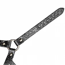 ���� BDSM ���� Dark Bunny ���� �� ����� �� ������ - Rebellion Reign - ���� ��� ���� - ����� �� ����