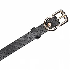 ���� BDSM ���� Dark Bunny ���� �� ����� �� ������ - Rebellion Reign - ���� ��� ���� - ���� �������