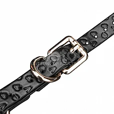 ���� BDSM ���� Dark Bunny ���� �� ����� �� ������ - Rebellion Reign - ���� ��� ���� - ���� ����