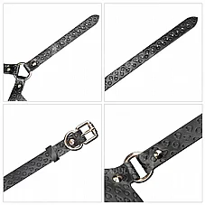 ���� BDSM ���� Dark Bunny ���� �� ����� �� ������ - Rebellion Reign - ���� ��� ���� - ���� �������