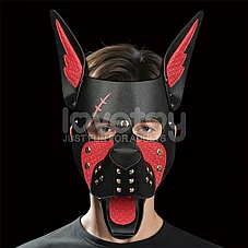 ���� ����� Scarred Alpha Pup �� ����� ���� - Rebellion Reign - ���� �� ���� �� ���� - ����-���� �� �����