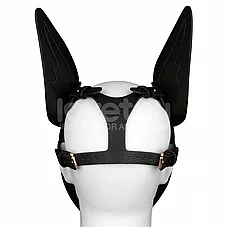 ���� ����� Scarred Alpha Pup �� ����� ���� - Rebellion Reign - ���� �� ���� �� ���� - ����-���� �����