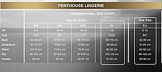 Body Search -��� ��� ����� �� ����� ����� ���� ���� �������. Penthouse-2114 ( ��� ����� !)